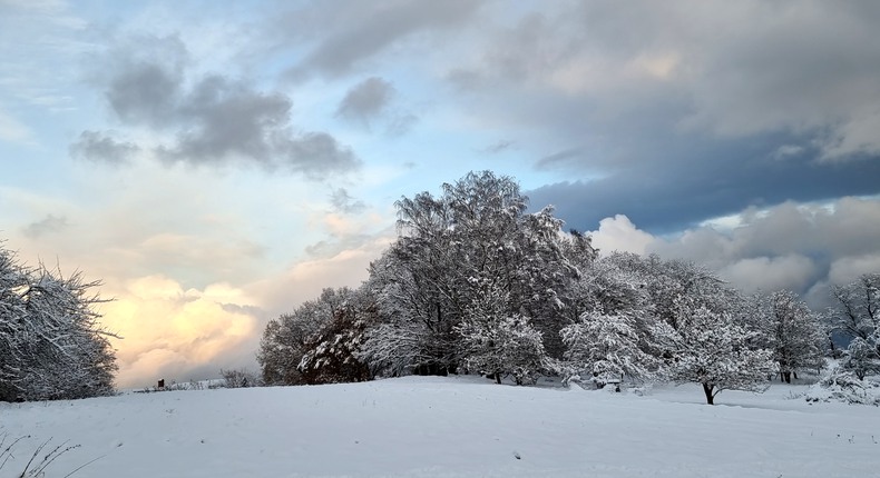Snölandskap. Längre bort i bild står träd med mörka stammar med grenarna klädda med snö. Himlen är dramatisk och skiftar från ljus till mörk med moln i olika former.