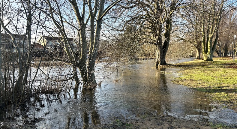 Vattennivån har stigit i Tommarpsån. Träd står i vattnet som också täcker en del av gräset. I bakgrunden syns flervåningshus.