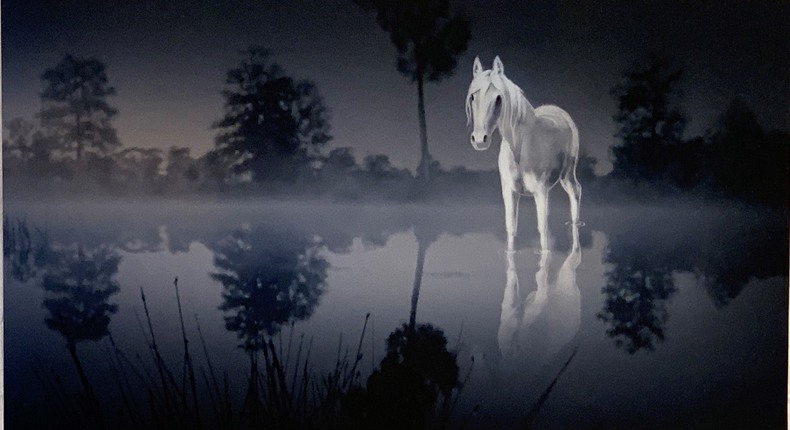 En vit häst står vid en spegelblank sjö i skogen.
